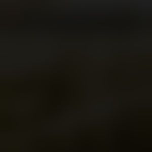 Meet your Posher, Garrett